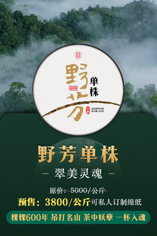 2025【野芳单株】野放古树茶，特别的普洱“妖”气！ 商品图0