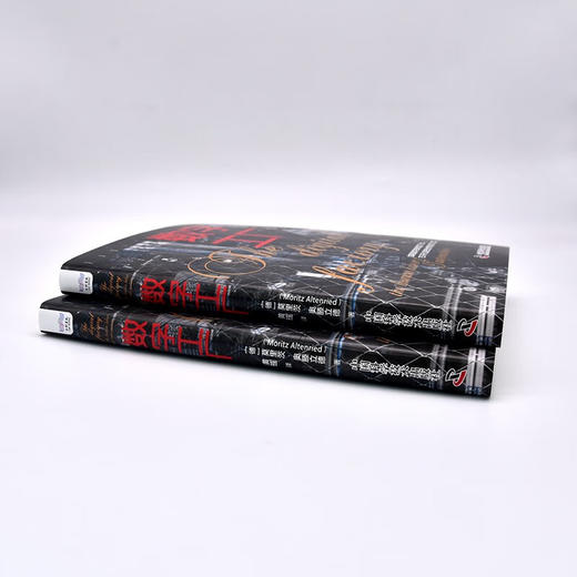 数字工厂：展现数字化时代下真正的劳动场景，探究劳动形式的变与不变 商品图6