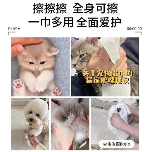whycat宠物清洁湿巾猫狗专用 商品图2