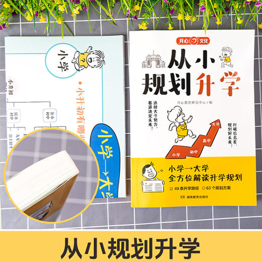 从小规划升学小学升初中升高中生中高考多元升学规划指南宝典一本全打破信息差学习竞赛选科志愿规划政策解读 商品图1
