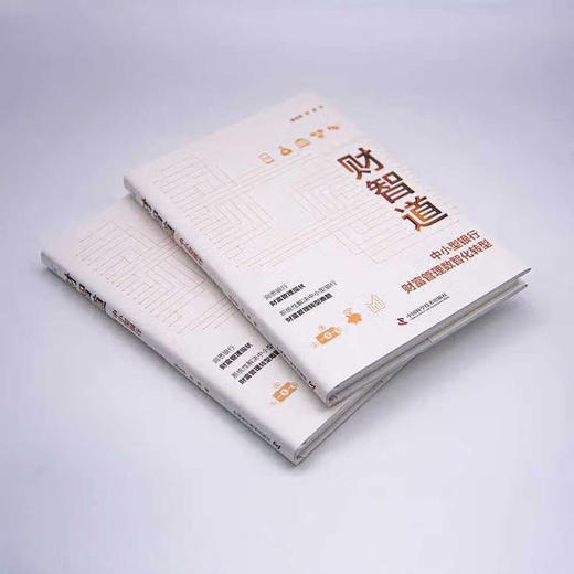 财智道：中小型银行财富管理数智化转型（精装典藏版） 商品图2