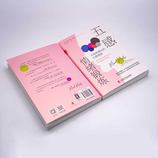 五感情绪锻炼 : 十周改善你的心理健康 商品图4