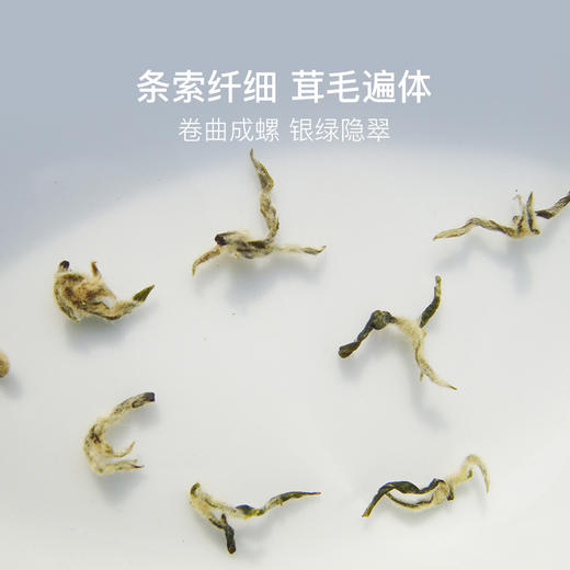 碧螺春 | 明前采摘“鲜”人一步，鲜春滋味清爽甘醇 商品图3