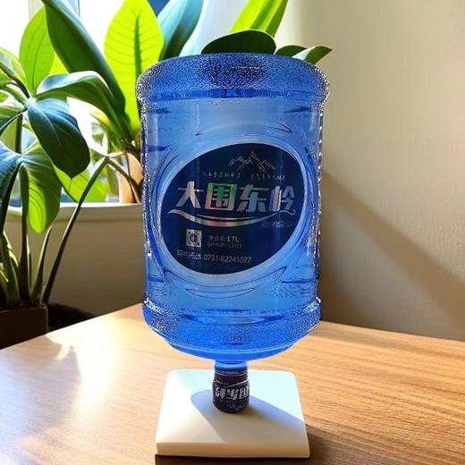 【CS】大围东岭桶装水（大客户专享） 商品图1