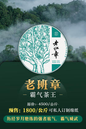 2025【老班章头春】霸气直入人心，今年老班章的第一口鲜！