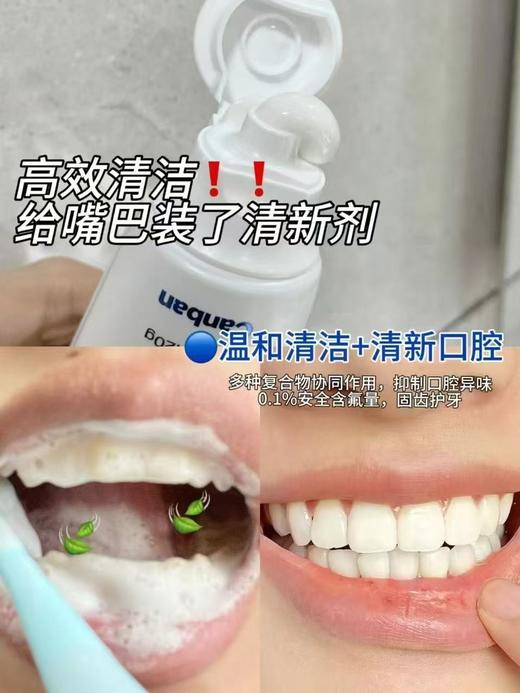 参半清新牙膏120g 商品图3