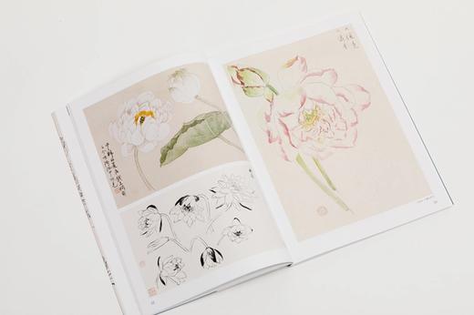 《大师课堂：陆抑非白描写生画稿》张渊编著 陆抑非 绘 商品图6