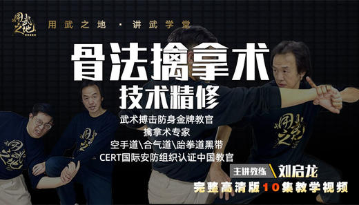 5集：骨法擒拿技术精修——主动擒拿技术实战运用（二） 商品图0