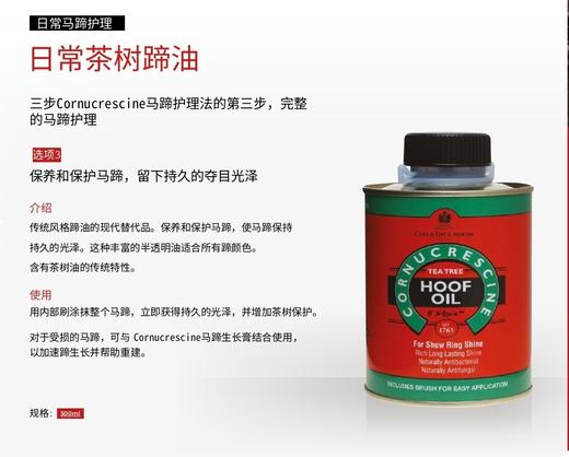 马匹受伤养护套装-药用洗发液马匹清洁马匹护理洗发水CDM 商品图5