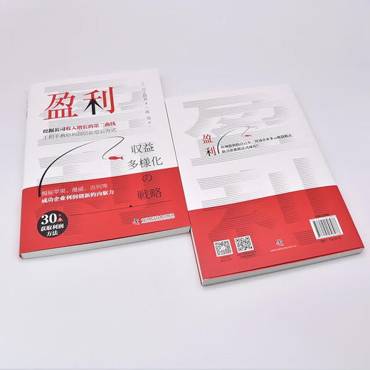盈利：一本书讲透如何实现企业收益多样化 商品图7