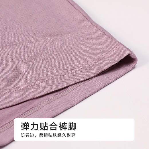 都市丽人简约基础棉平角空气棉平角裤FKHC25 商品图5