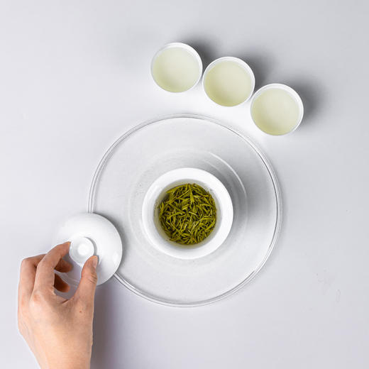 云曼｜2025年安吉白 商品图4