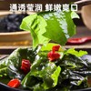 有机裙带菜 90g罐装【京东快递送货上门】 商品缩略图2