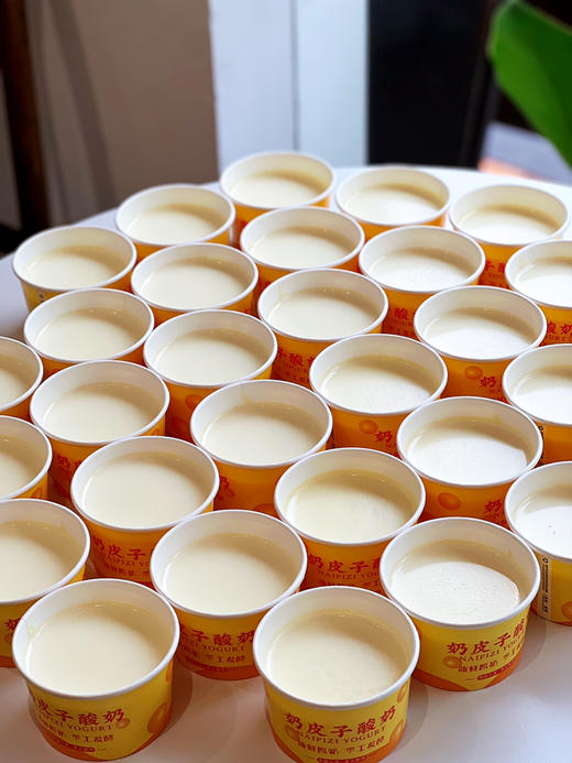 奶皮子酸奶 商品图2