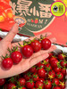 🛵新品🆕【蛙语】黄帽高糖千禧小番茄🍅1kg/盒 商品缩略图3