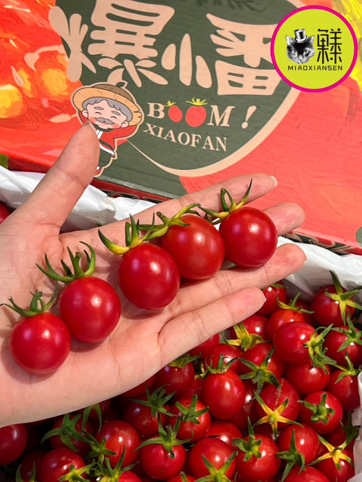 🛵新品🆕【蛙语】黄帽高糖千禧小番茄🍅1kg/盒 商品图3