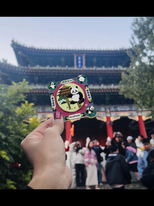 七彩疆山原创冰箱贴 商品图8