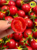 🛵新品🆕【蛙语】黄帽高糖千禧小番茄🍅1kg/盒 商品缩略图2