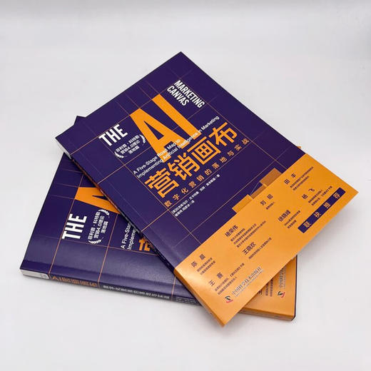 AI营销画布：数字化营销的落地与实战 商品图5