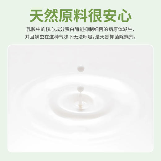 【分销】【乳胶枕买一赠一】乳胶工厂大折扣来了 绕过各种坑找到的乳胶床垫 贝奇特乳胶床垫/枕头 商品图6