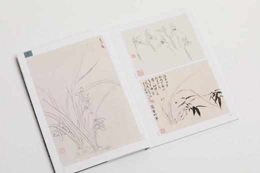 《大师课堂：陆抑非白描写生画稿》张渊编著 陆抑非 绘 商品图5