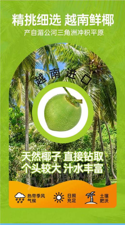 【3.15好物神价】九日冰祖椰子水越南进口100%1升*2 商品图4
