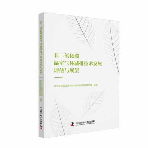 非二氧化碳温室气体减排技术发展评估与展望 商品图0