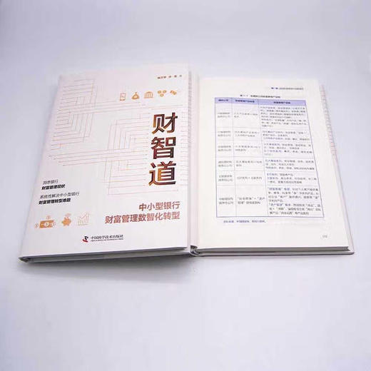 财智道：中小型银行财富管理数智化转型（精装典藏版） 商品图6