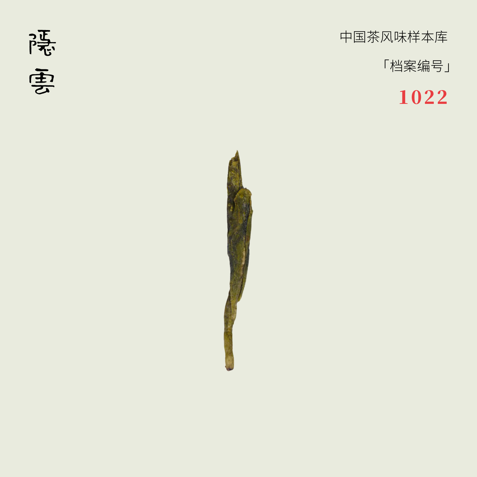 天澜｜2025年大佛龙井