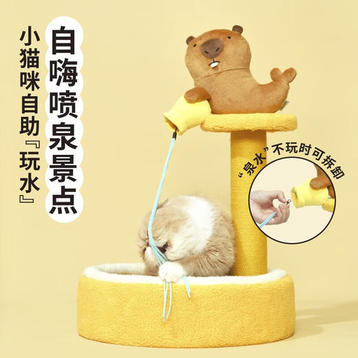 噗扑实验室  许愿池土拨鼠柱立式猫抓板猫爬架 商品图4