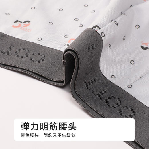 都市丽人日常休闲棉平角棉粘平角裤FKHB01 商品图4