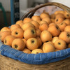 云南蒙自枇杷清甜可口枇杷 商品缩略图7