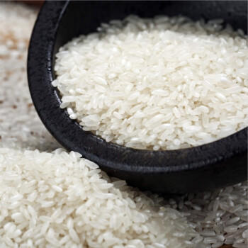 【龙稻】有机寒地大米龙裕鲜香 5KG 商品图1