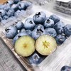 【到手4盒】云南高原露天L25花香蓝莓 125g/盒 大果15+mm 颗颗饱满 满满花青素 商品缩略图2