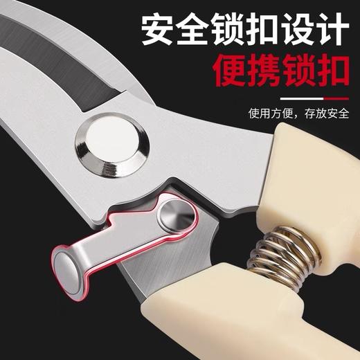 园艺剪 修枝剪 花剪 园林剪 花艺剪 剪树枝果树剪刀 枝剪修剪花卉剪子 1把 商品图4