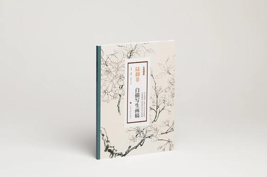 《大师课堂：陆抑非白描写生画稿》张渊编著 陆抑非 绘 商品图1