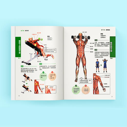 “人体运动彩色解剖图谱”系列（全3册）：《健身房训练彩色图谱》《力量训练彩色图谱》《无器械训练彩色图谱》 商品图7