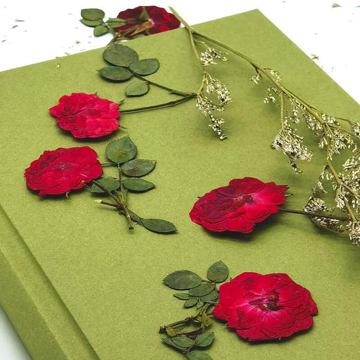 花粉症与人类：让人“痛哭流涕”的小历史 商品图7