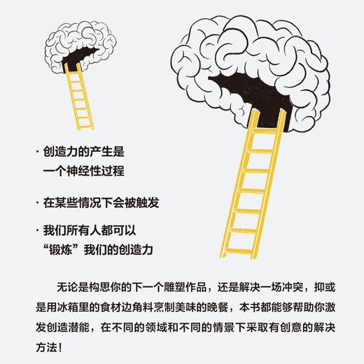 灵光乍现：探秘神经科学，激发创造潜能 商品图3