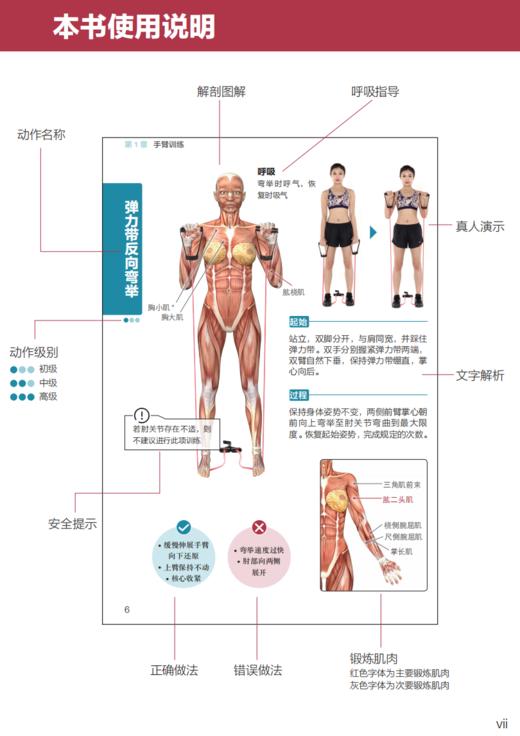 “人体运动彩色解剖图谱”系列（全3册）：《健身房训练彩色图谱》《力量训练彩色图谱》《无器械训练彩色图谱》 商品图5