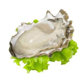 精选生蚝（个）