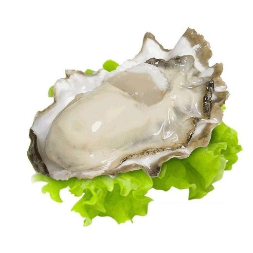 精选生蚝（个） 商品图0