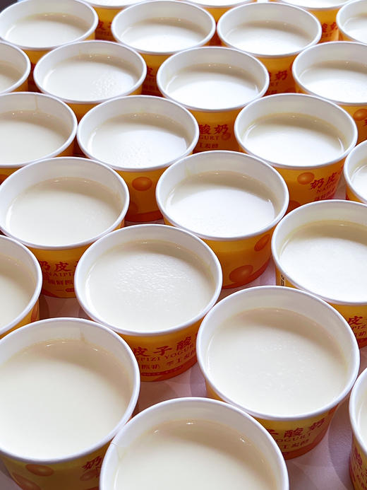 奶皮子酸奶 商品图1