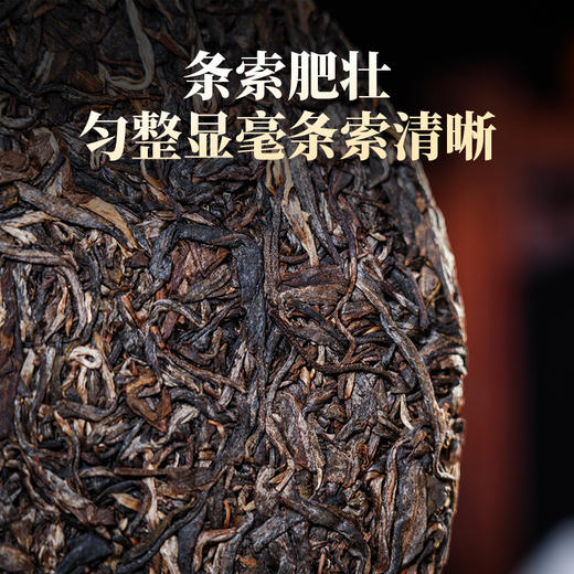 德丰昌冰岛古树生 388克/饼 商品图3