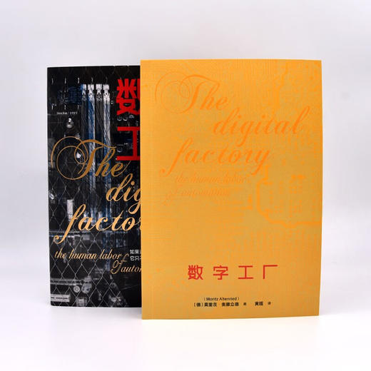 数字工厂：展现数字化时代下真正的劳动场景，探究劳动形式的变与不变 商品图7