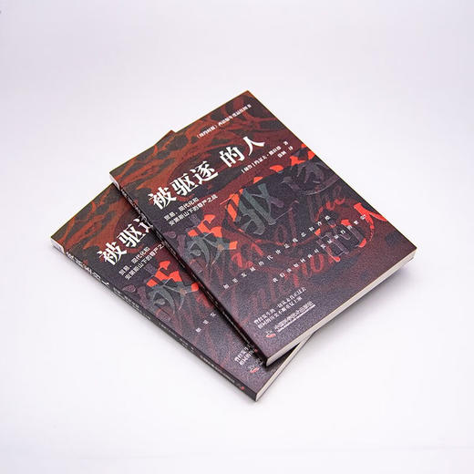 被驱逐的人：贸易、现代化和安第斯山下的尊严之战 商品图5