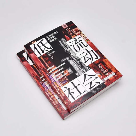 低流动社会：后疫情时代日本的新格差 商品图3