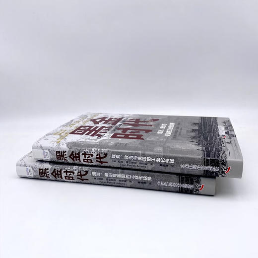 黑金时代：煤炭、政治与美国的工业化抉择（精装典藏版） 商品图6