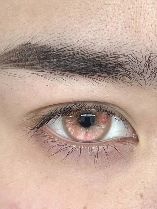 huohuocon 半年抛美瞳 茸璃蝶蕊 直径14.5mm着色13.8mm 商品图0