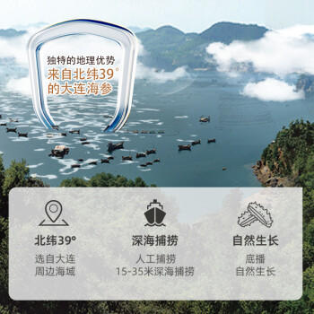 晓芹 大连干海参 110g 33-40只 辽刺参 海参干货礼盒 /粮油调味 /南北干货 /干海参 商品图5